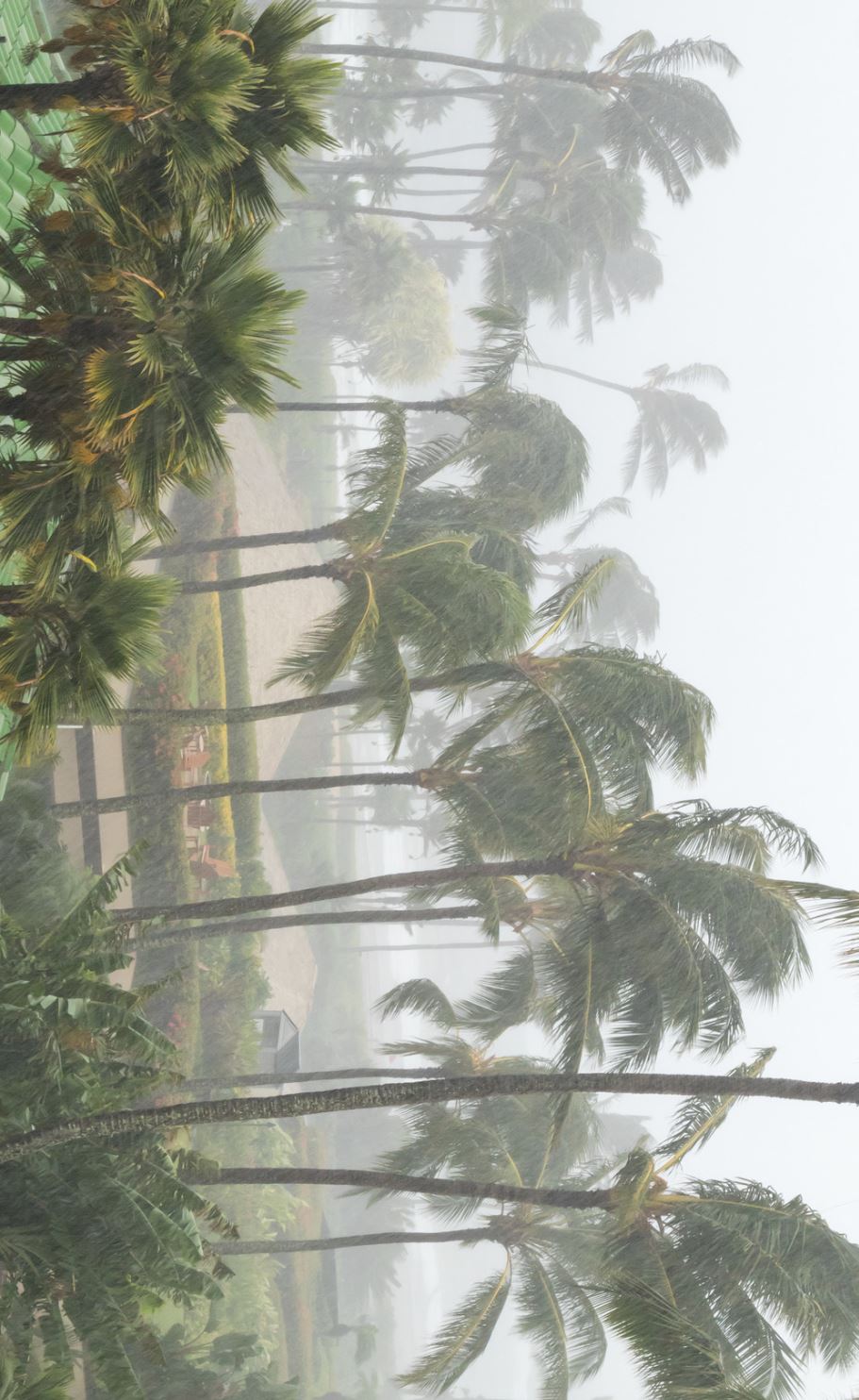hurricane_for_yt.JPG