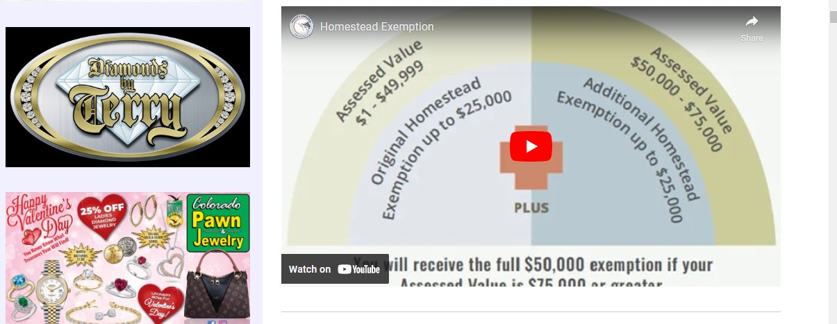 Out2News Homestead Exemption Video